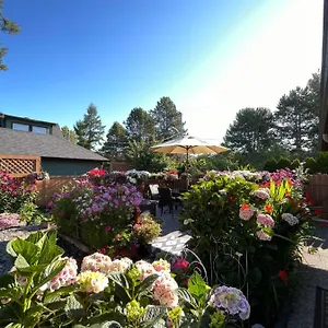  Guest house Garden In -beautiful In